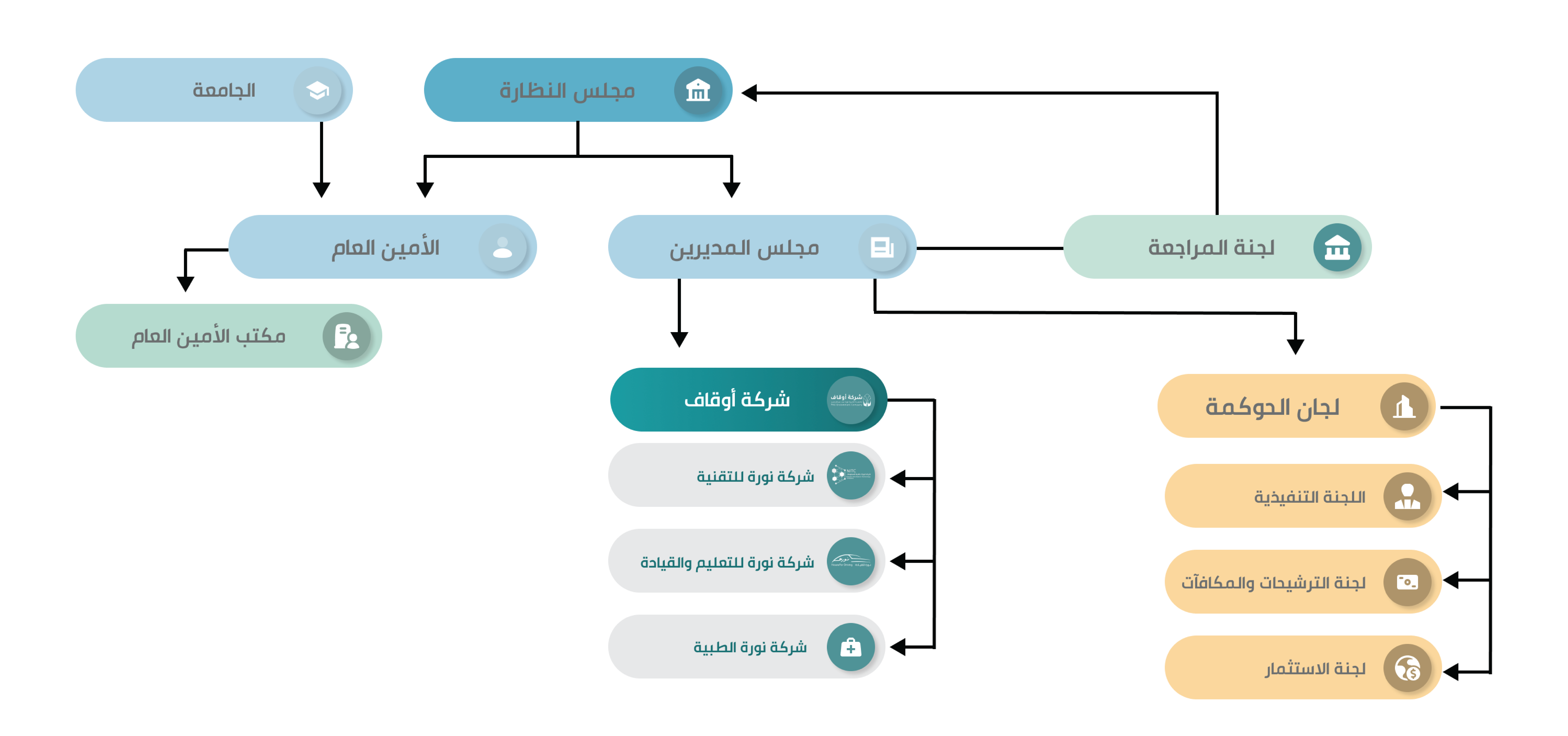 الهيكل التنظيمي